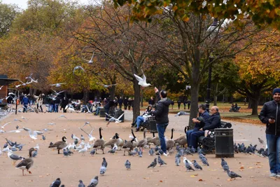 DSC_0652 (Large).JPG